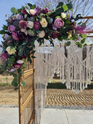 Photo-Mar-17-2025-5-02-18-PM