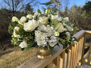 Photo-Mar-19-2025-8-16-01-AM